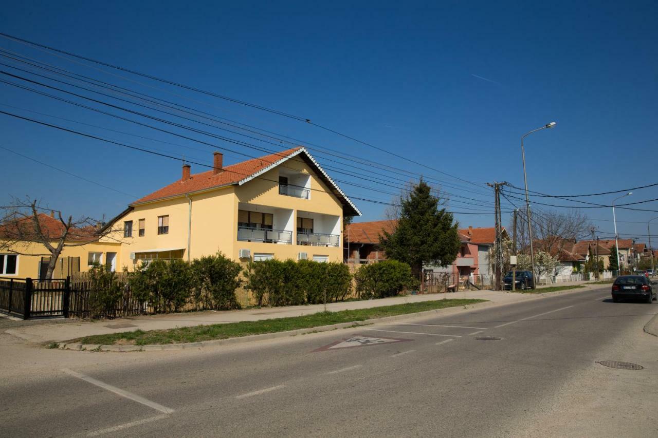 Apartments Kuca Aleksic Nis Exterior photo